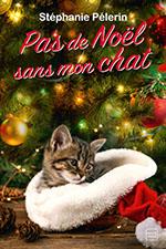 Pas de noël sans mon chat